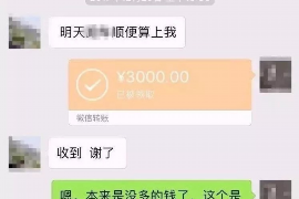 会宁遇到恶意拖欠？专业追讨公司帮您解决烦恼